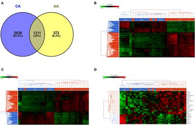 Immune-Related Gene Expression and Cytokine Secretion Is Reduced Among African American Colon Cancer Patients